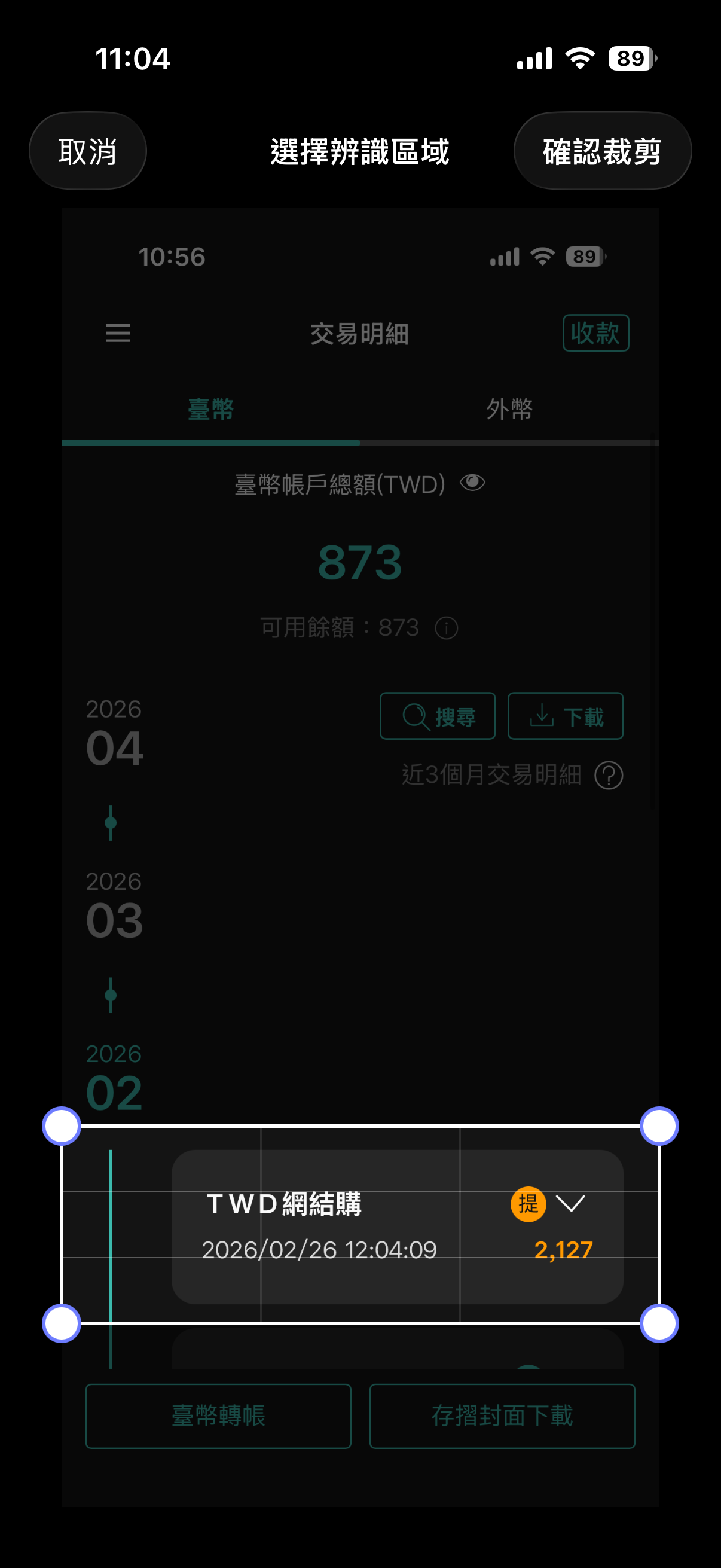 截圖範圍調整示意
